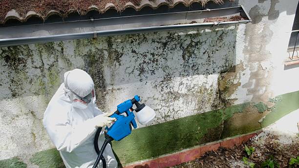 Trusted Crawl Space Mold Removal service in Washington, DC - Cheap Mold Removal